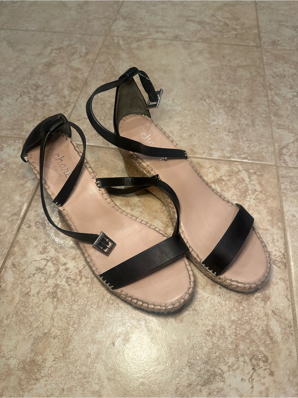 Charles by Charles David Nola 3” Wedge Sandals (8W)